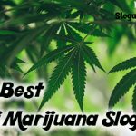 30+ Best Anti Marijuana Slogans