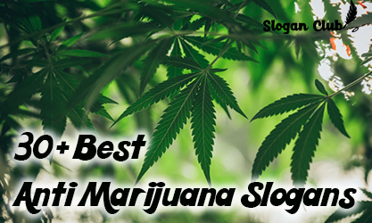 30+ Best Anti Marijuana Slogans