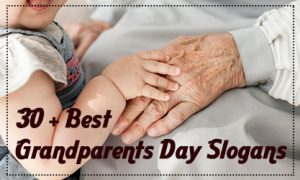 30+ Best Grandparents Day Slogans
