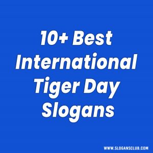 10+ Best International Tiger Day Slogans