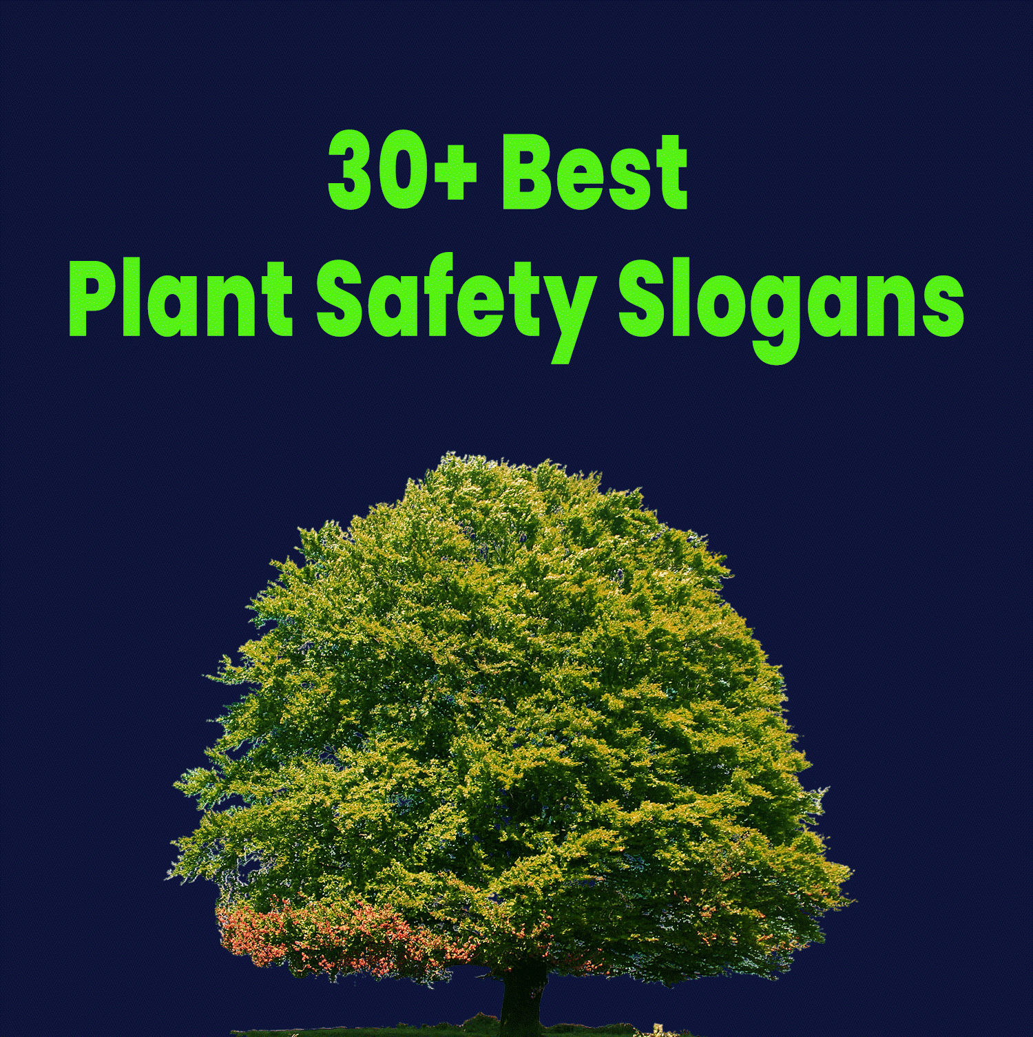 30+ Best Plant Safety Slogans