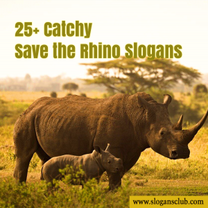 25+ Catchy Save the Rhino Slogans