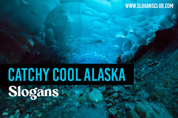 22+ Catchy and Cool Alaska Slogans