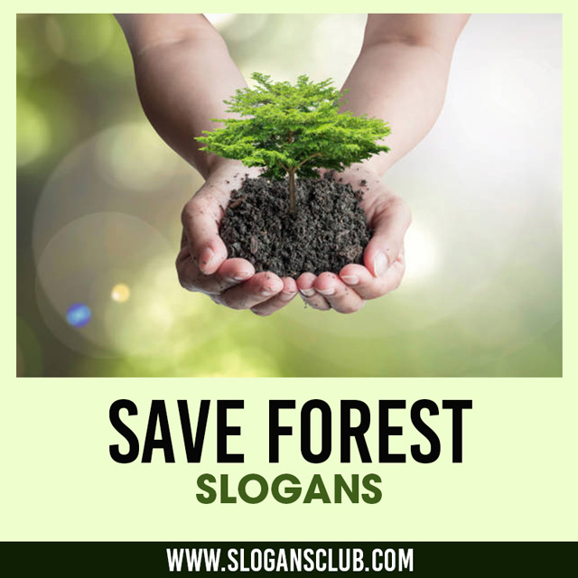 Save Forest Slogans