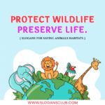 Slogans For Saving Animals Habitats